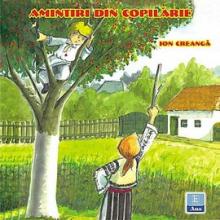 Amintiri din copilarie